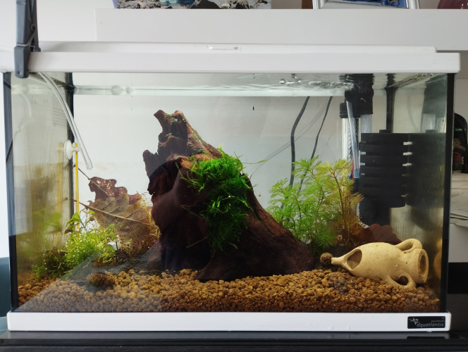 Photographie du post de Olivier1977 