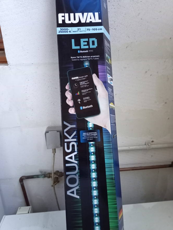 Photographie du post de Domovoi 