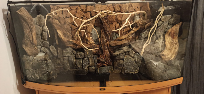 Palaquarium 300L Reconversion du Juwel Vision de 300L en paludarium.