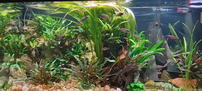 Mes bacs Bonsoir à tous