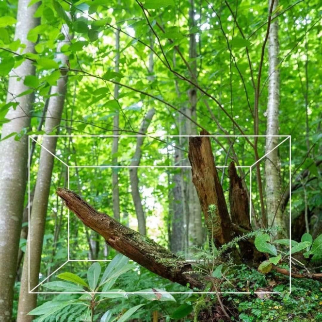 Photographie du post de NakMuay 