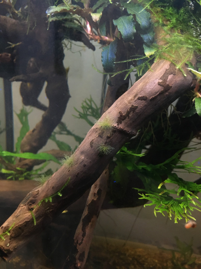 Photographie du post de Augustin.stglr 