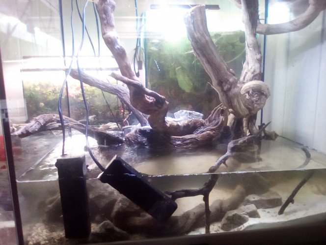 Photographie du post de laurent-galichet 