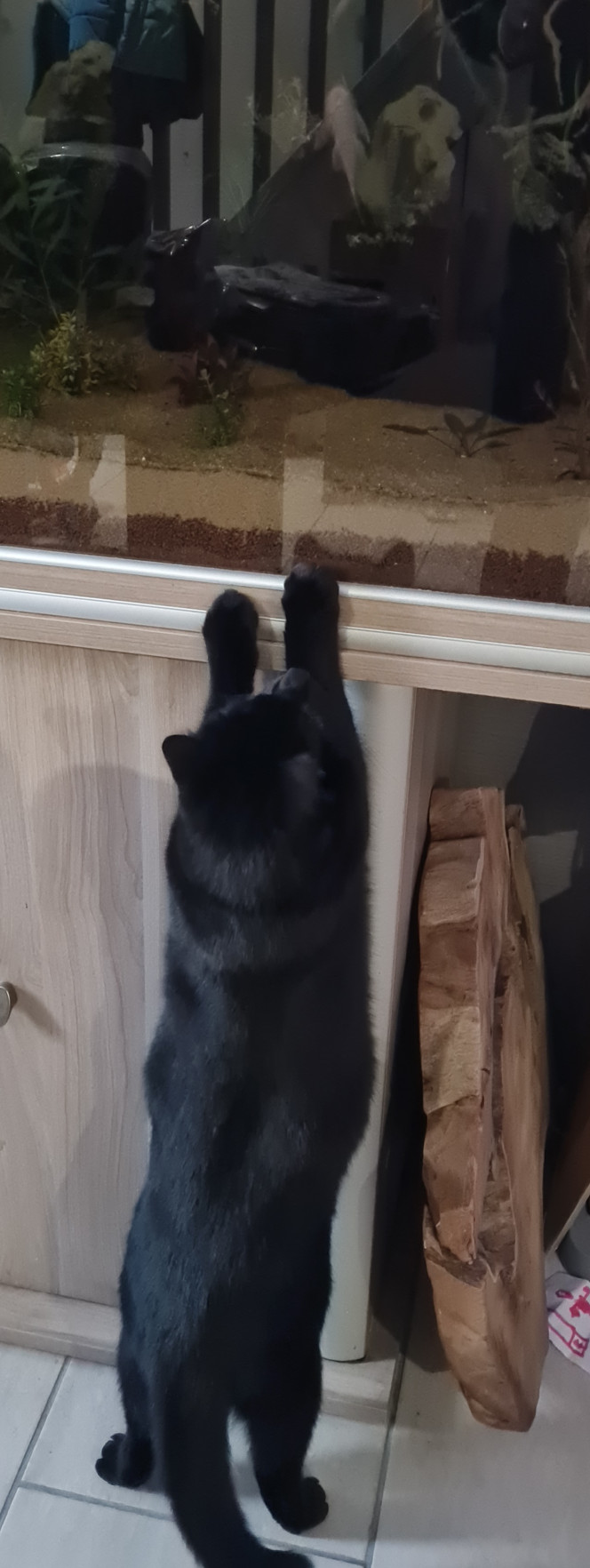 ??? ?‍⬛ j'avais pas vue mais il y a des trucs qui bouge la dedans ??