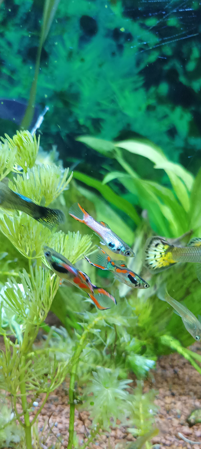 mélange de la part de la nature ! Merci 