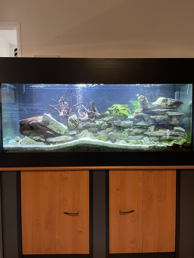 Aquarium 1 bureau 150x050x060