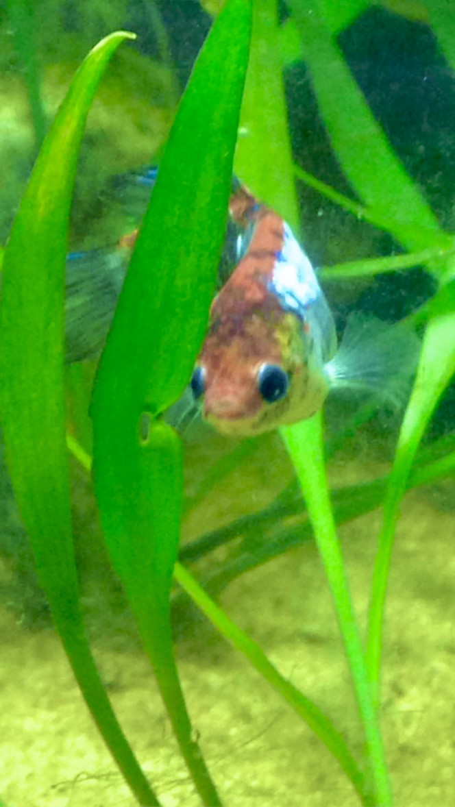 Photographie du post de Nalia 