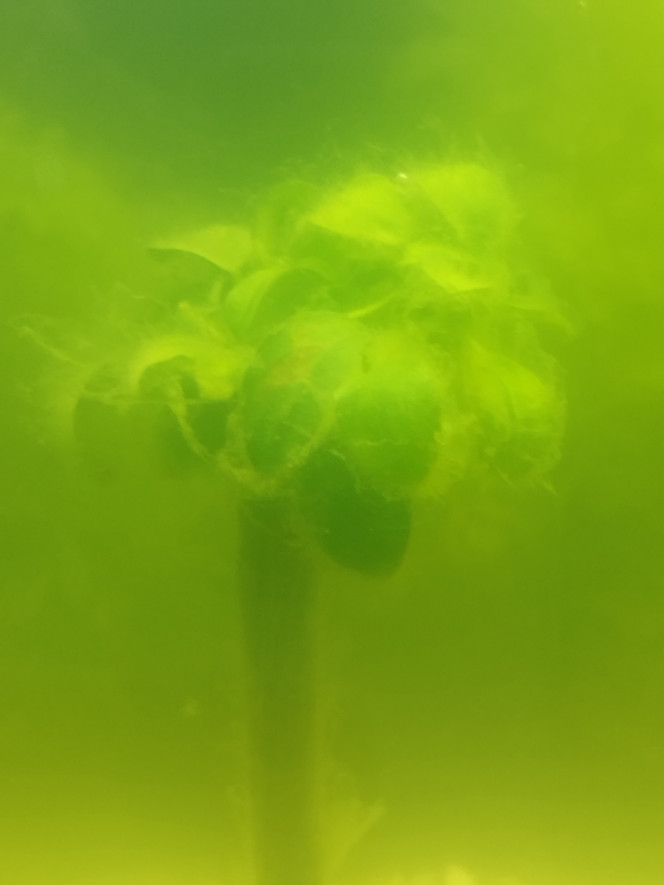 Photographie du post de Ange21 