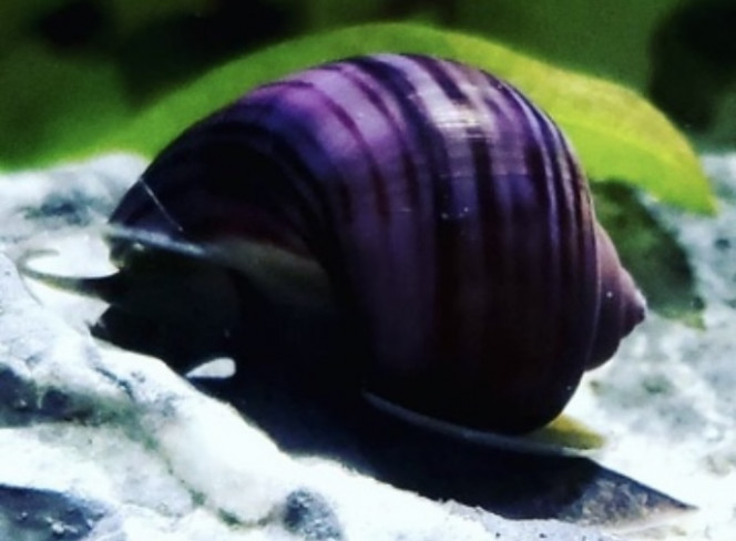 Photographie du post de Nalia 