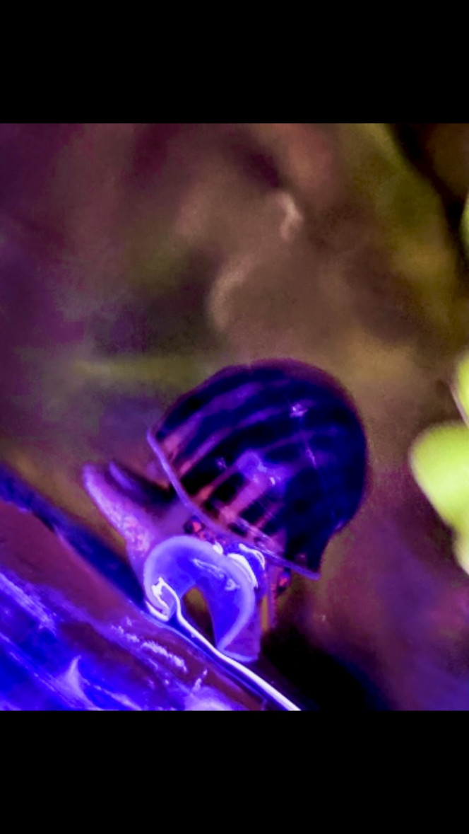 Photographie du post de Nalia 