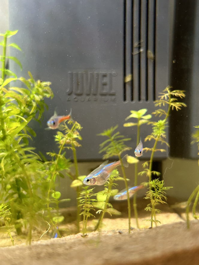 Photographie du post de juliette.sfd 