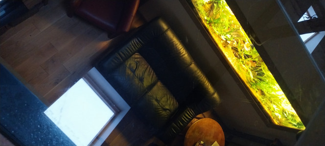 Photographie du post de STK54 