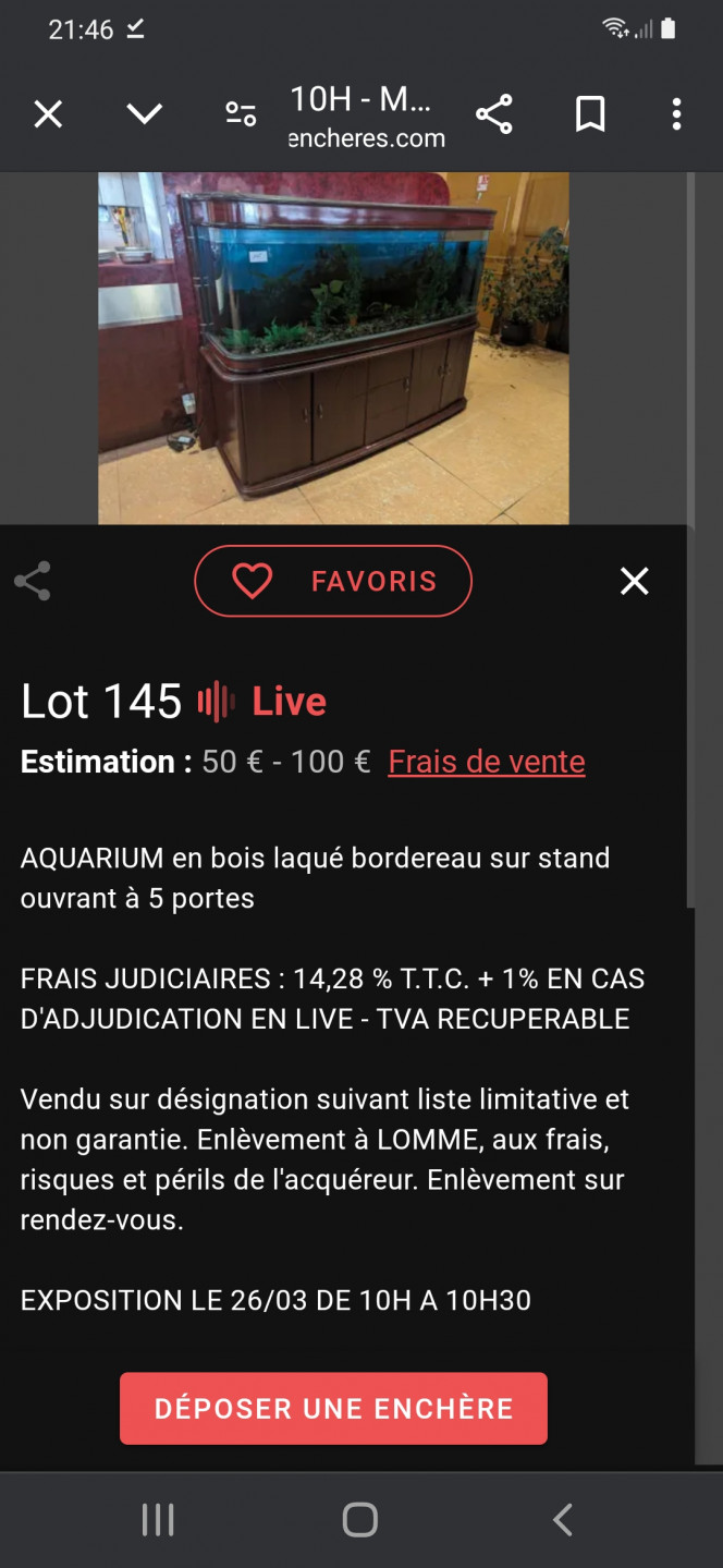 Photographie du post de LADODOLELA 