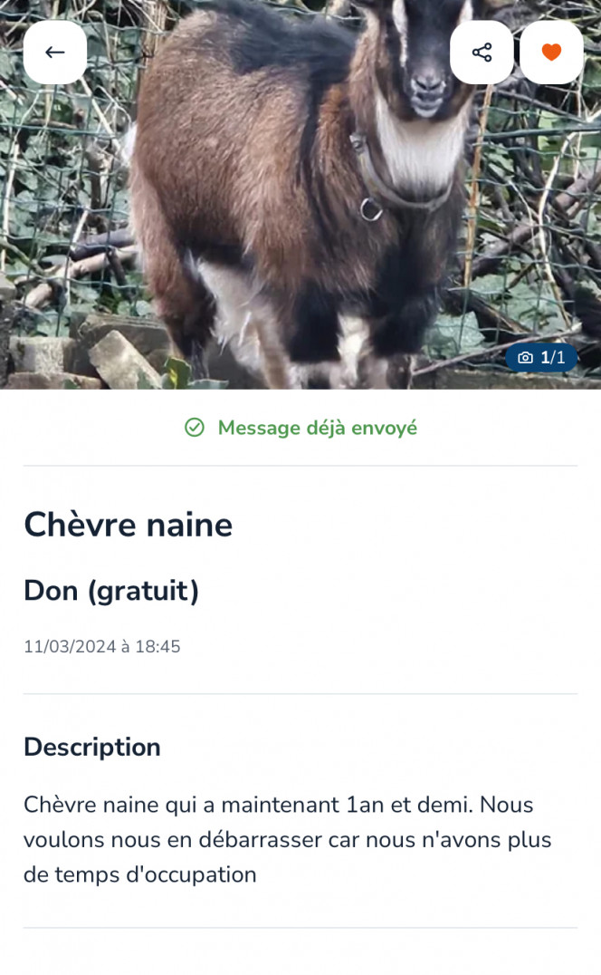 Photographie du post de Emma1234 
