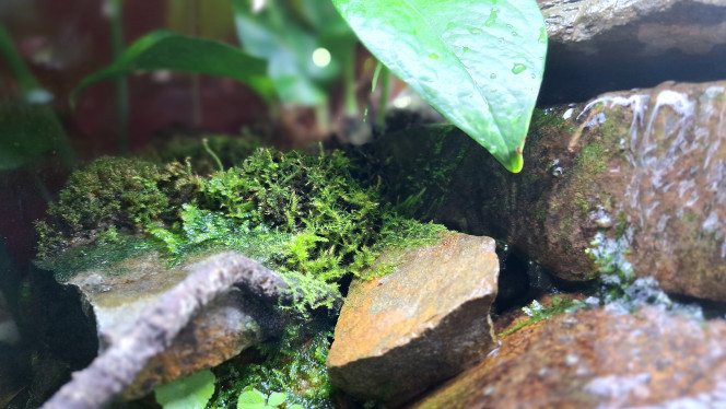 Photographie du post de ArtemusKlegg 
