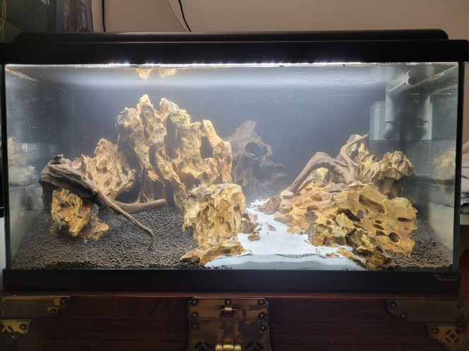Hardscape Dark Start face 4 kg pozzalane 
8l Tropica soil 
1l sable blanc 
10kg okho stone 
3 racines
2 semaines darkstart avec pompe