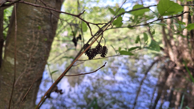 Photographie du post de ArtemusKlegg 