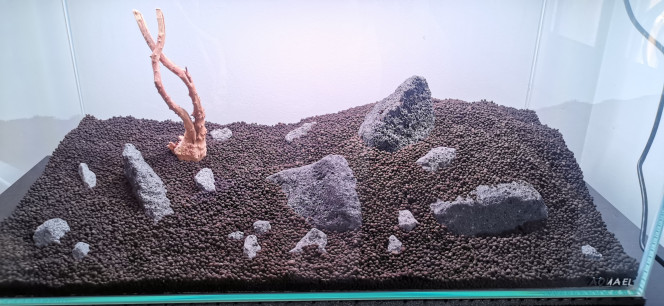 Hardscape prévisionnel 2 