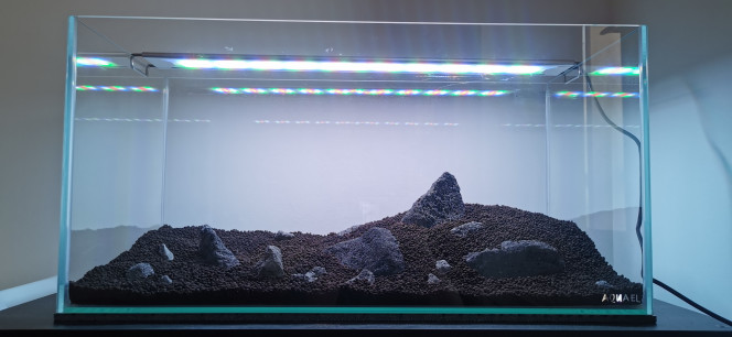 Hardscape prévisionnel 