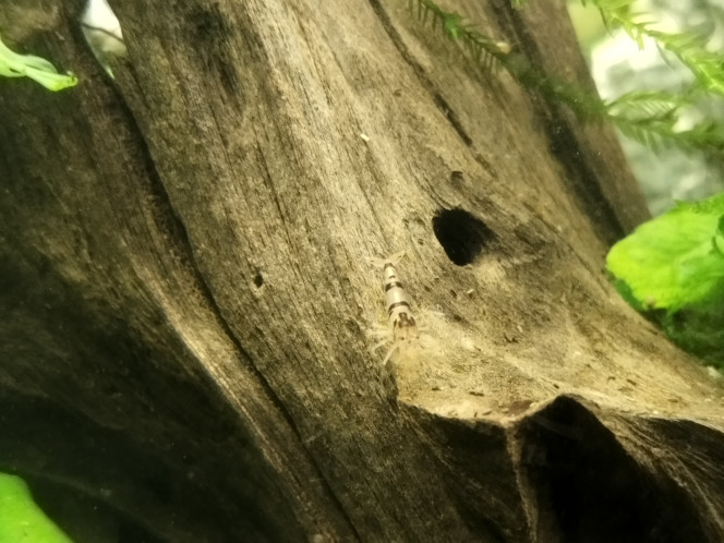 Photographie du post de Anhtu 