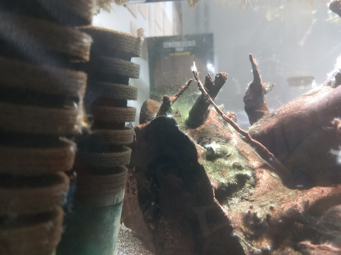 Photographie du post de Unepetitebretzel 