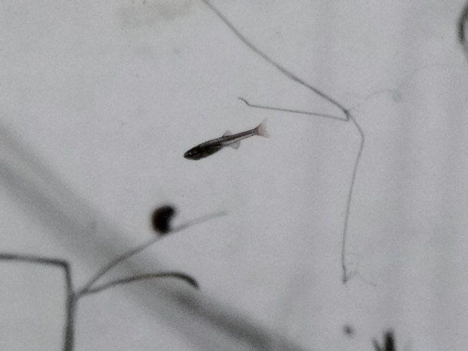 Photographie du post de Anhtu 