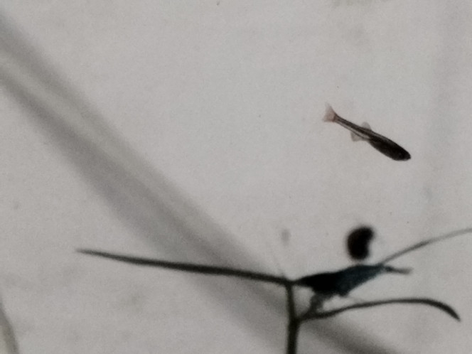 Photographie du post de Anhtu 