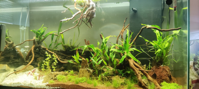 200L eau douce 05/11/2023 