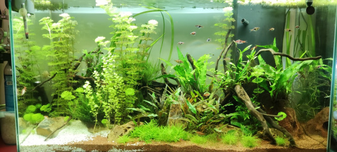 200L eau douce 18/01/2024 