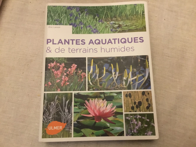 Photographie du post de Dimu 