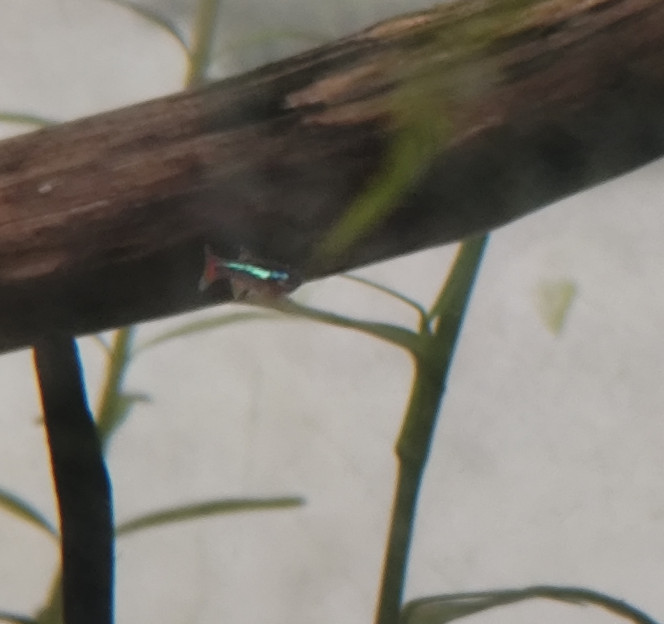 Photographie du post de Anhtu 