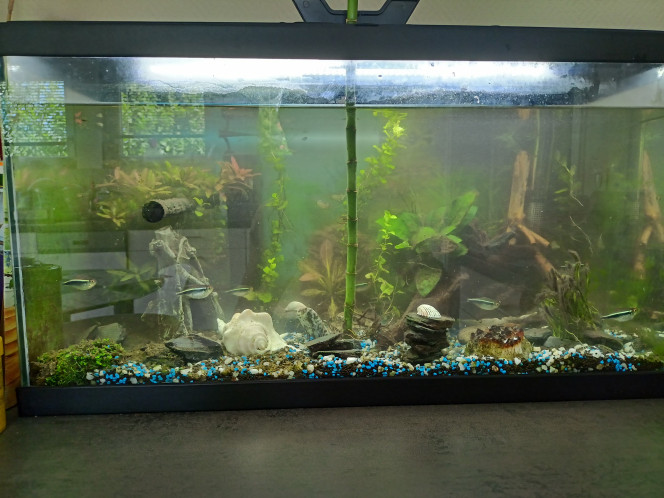 Photographie du post de Aqualex10 