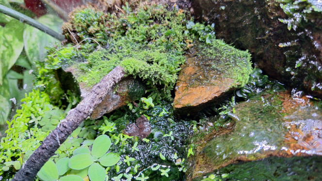 Photographie du post de ArtemusKlegg 
