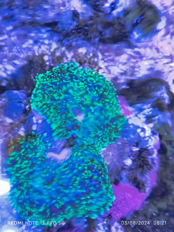 Photographie du post de Anhtu 