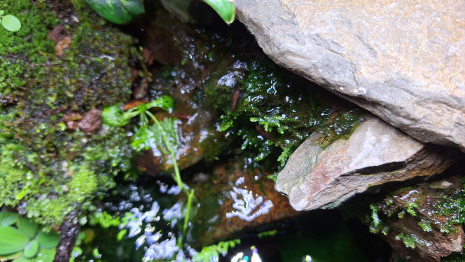 Photographie du post de ArtemusKlegg 