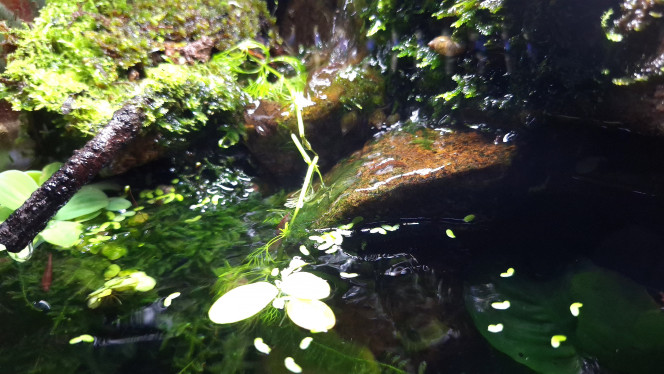 Photographie du post de ArtemusKlegg 
