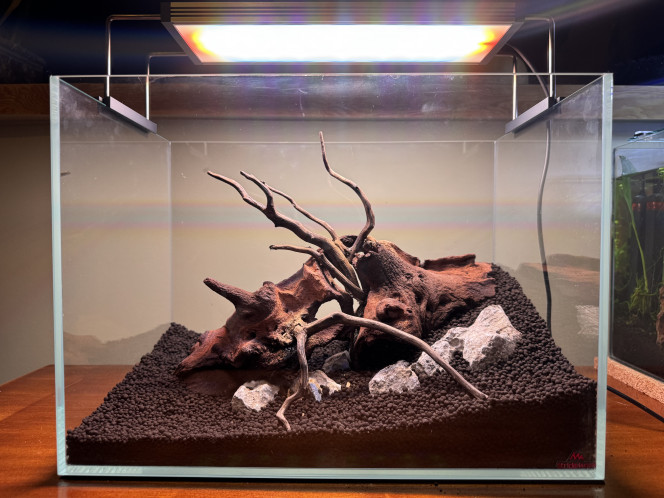 Hardscape 