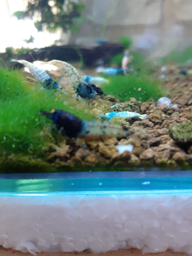 Photographie du post de PORTELLI 