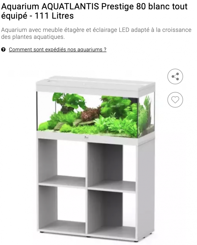 Photographie du post de Mediamazonie 
