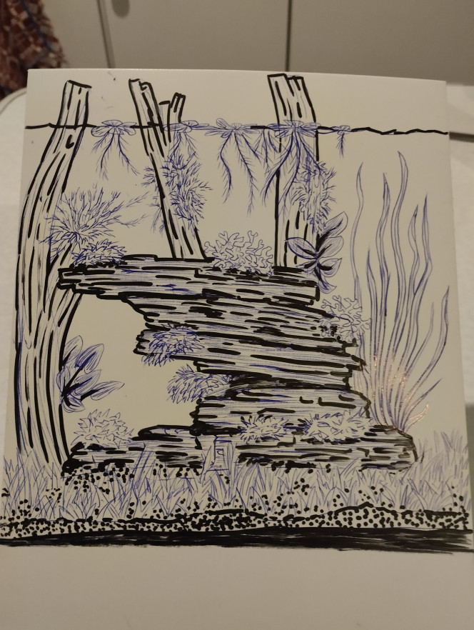 Petit délire Loin de chez moi un cube de 90 l a faire des idées qui sortent de partout.pour changer des photos un petit dessin.je rentres dans deux semaines et un petit jeux.                                      Dites moi les plantes sur le dessin réponse dans deux semaines plus un mois pour l acclimatation bon délire