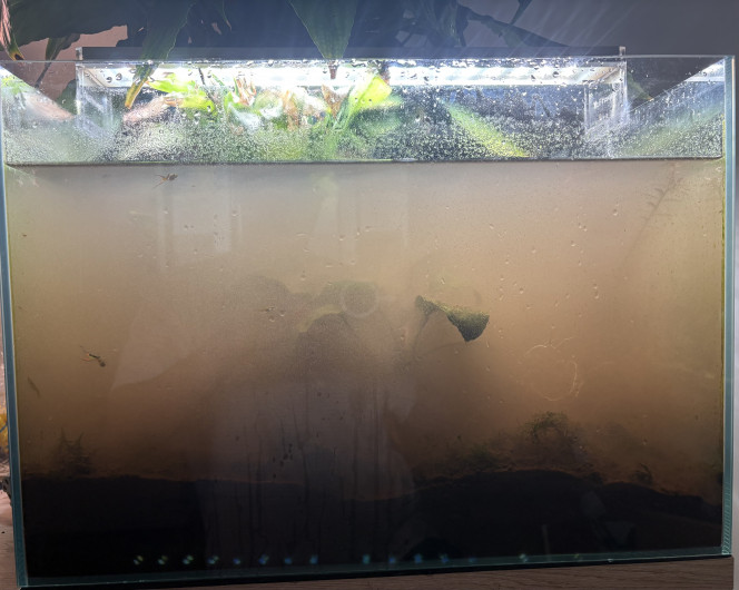 Photographie du post de Alex69 