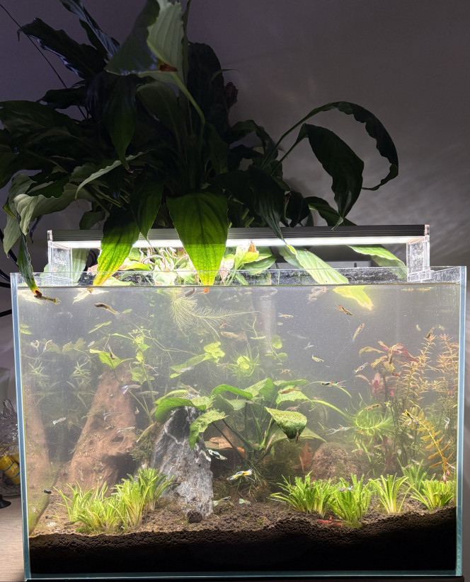 Photographie du post de Alex69 