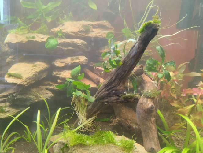 90l Bonjour, mise en eau terminée