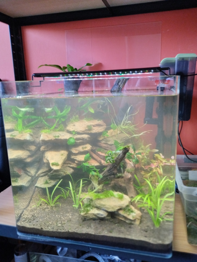 90l Bonjour, mise en eau terminée