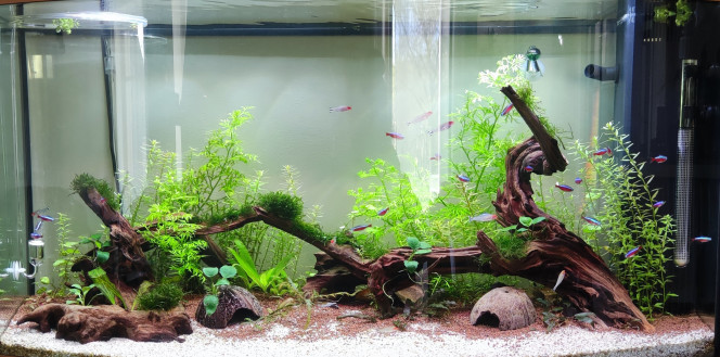  Changement d'éclairage, T8 pour Led?