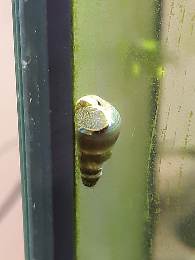 Photographie du post de PORTELLI 