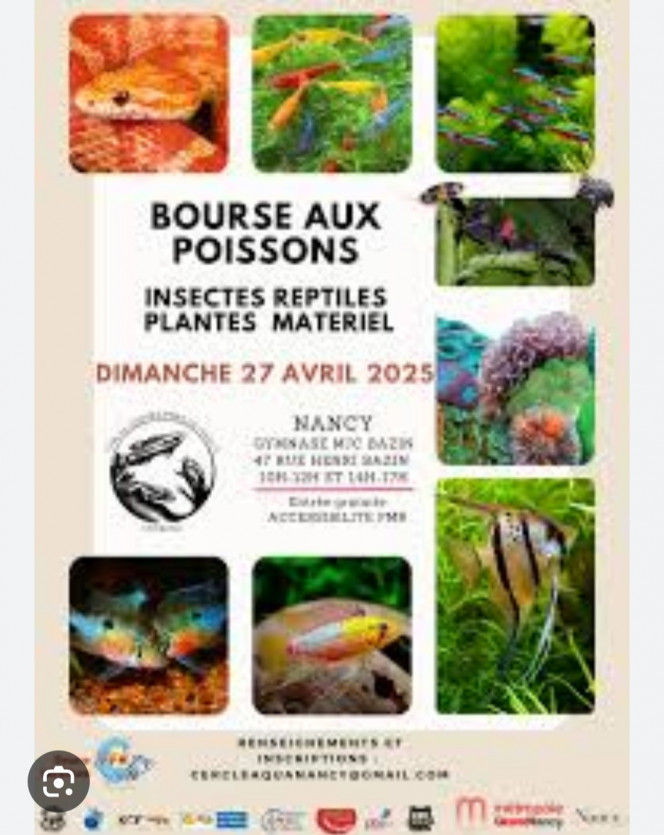 Photographie du post de STK54 