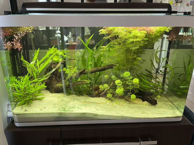 Fluval Osaka 260 