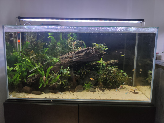 Aquarium 112l 