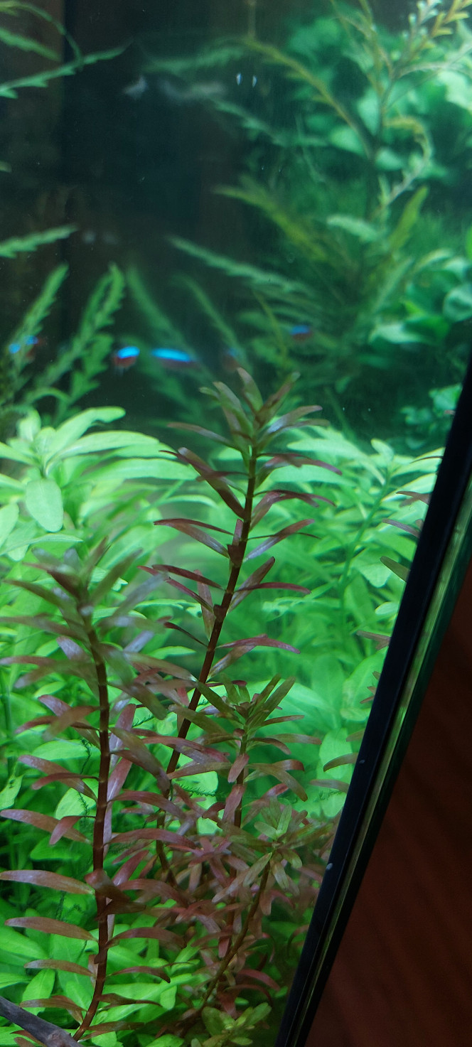 Photographie du post de aqua1230 